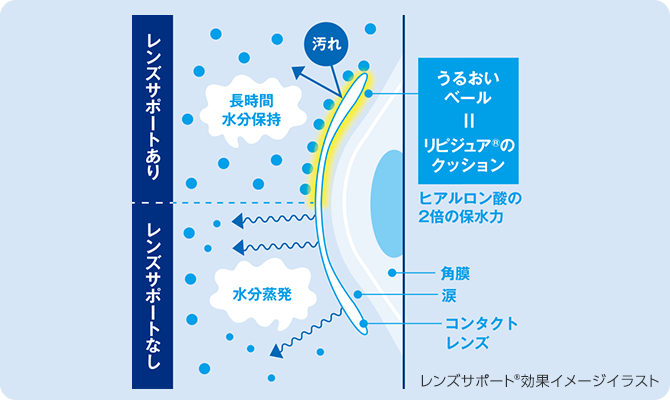 ヒアルロン酸の2倍の保水力をもつ“リピジュア®