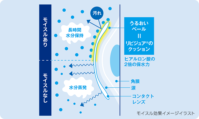 保水力はヒアルロン酸の2倍